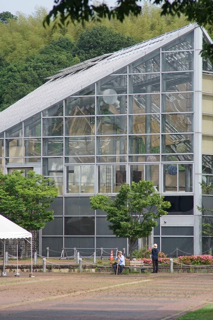 作例付き　Carl Zeiss TELE TESSAR 200mm F3.5