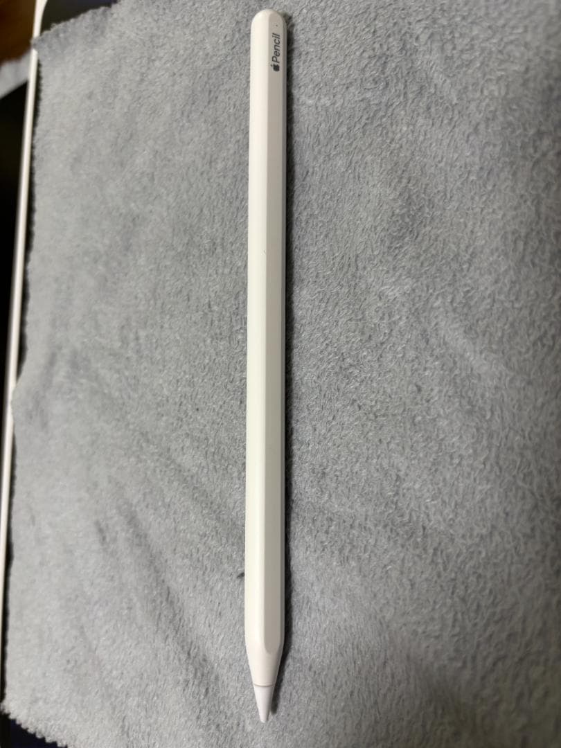 iPad Pro 12.9 第5世代 128Wi-Fi ＋Applepencil
