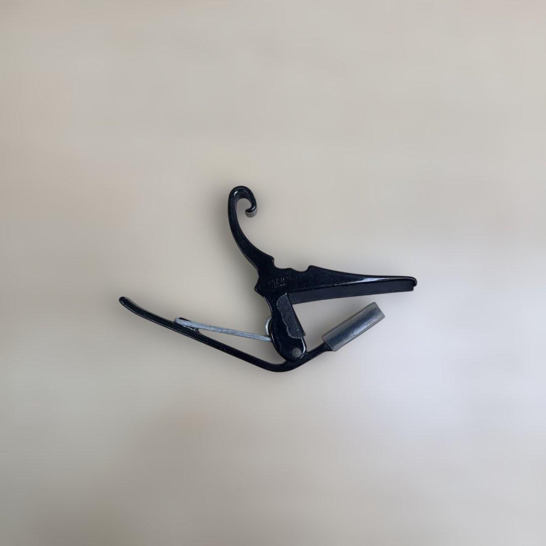 エ*ー様 SI95 HONEY BEE アコースティックギター F-15MH