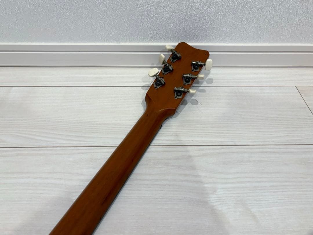 ビザール　アーチトップ　ピックギター　フルアコ　セミアコ　アコースティックギター