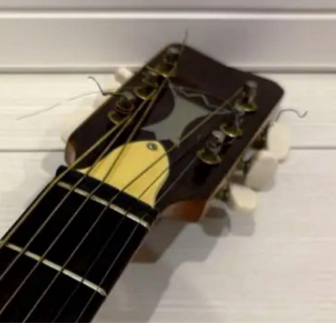 ビザール　アーチトップ　ピックギター　フルアコ　セミアコ　アコースティックギター