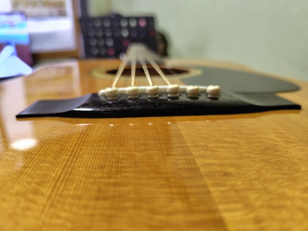 寺田楽器　ダブルホールギター　WSF30