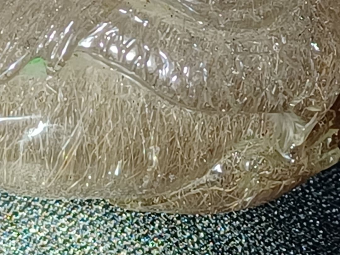 ラビットヘアールチル　本水晶龍 の彫刻 の置物　ネックレス用の穴あり！