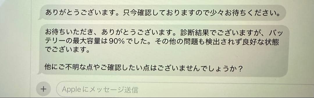 iPad Pro 12.9インチ 第3世代 Wi-Fi 256GB 非純正ペン付