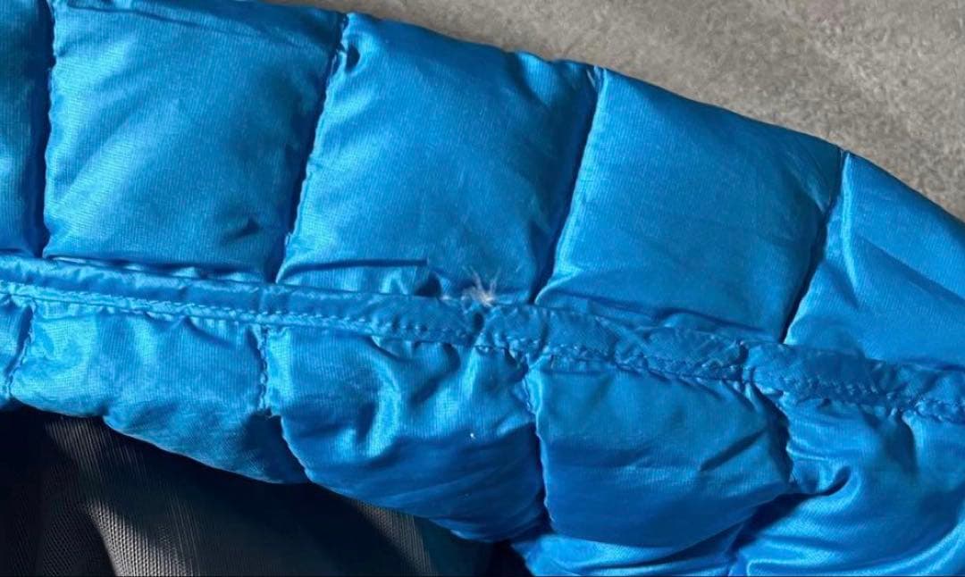 Patagonia ダウンセーター 青 ダウンジャケット グースダウン ブルー