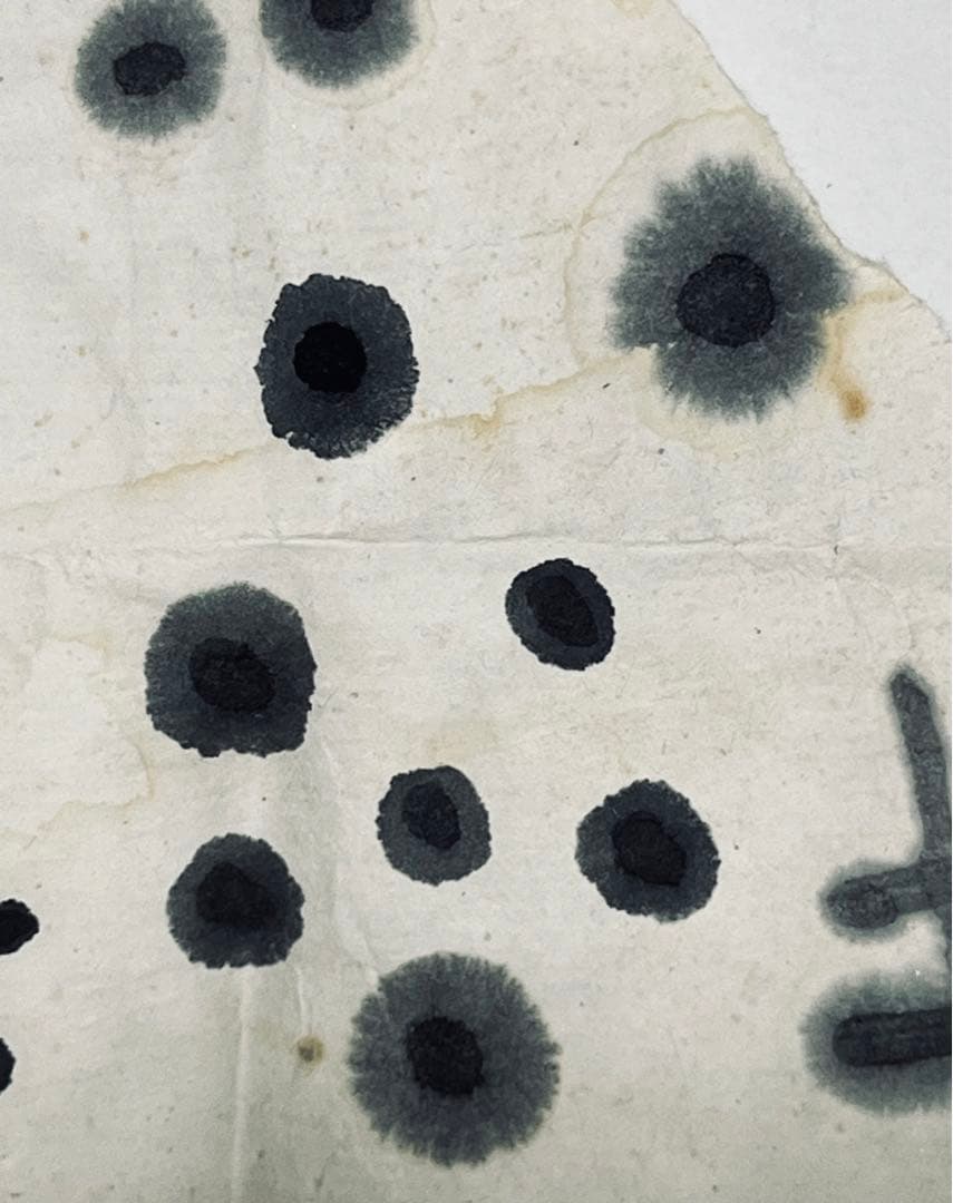 墨 龍徳 養性殿珍蔵