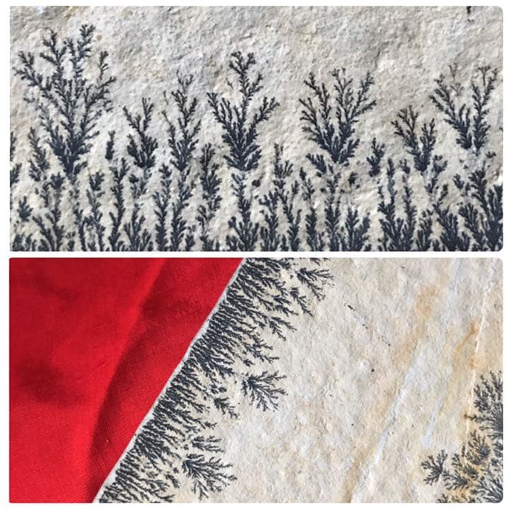 永久に枯れない樹木を封じ込めた石　樹形石(しのぶ石)  Dendrite