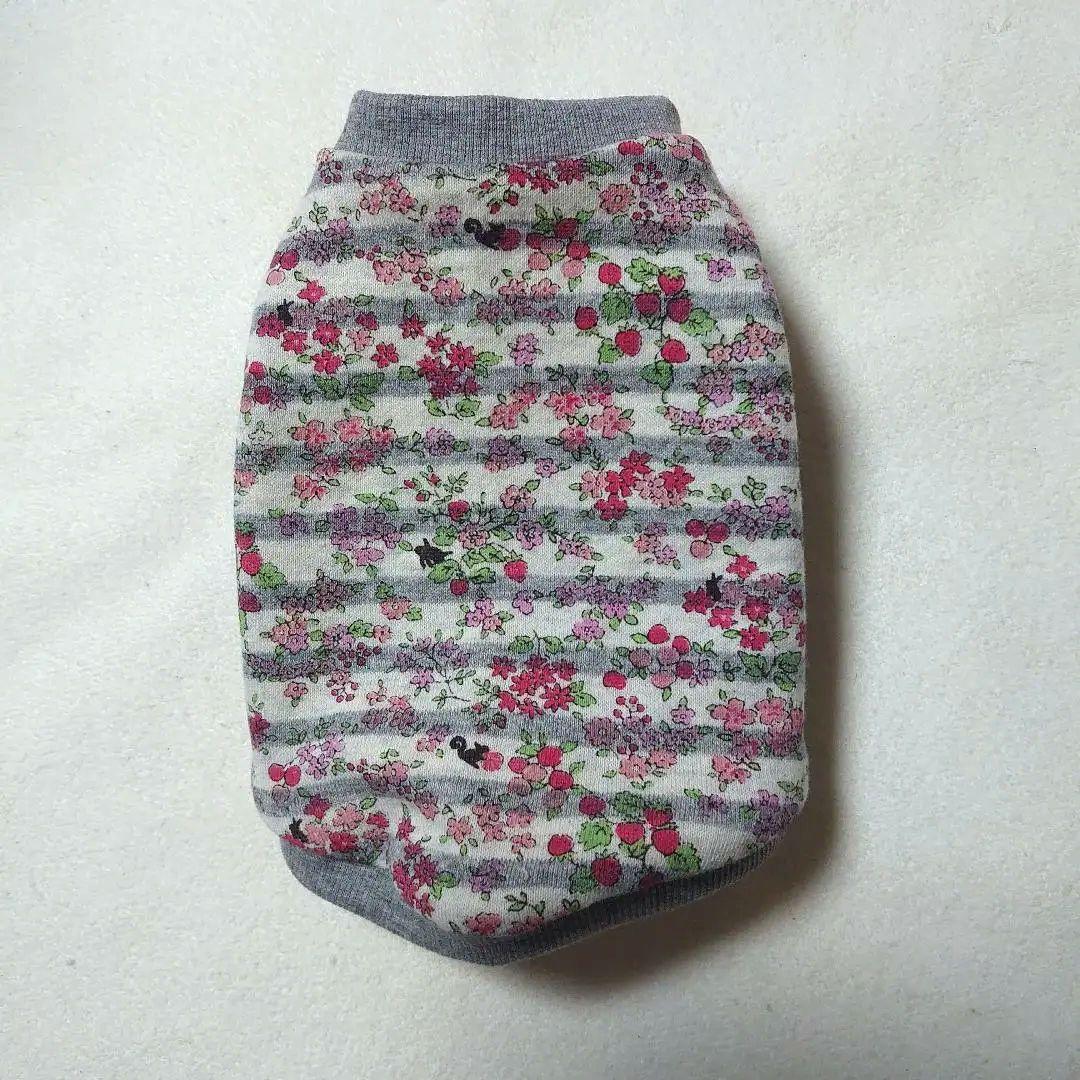 犬服 SS わんこの普段着　フルーツカシェ　ボーダー