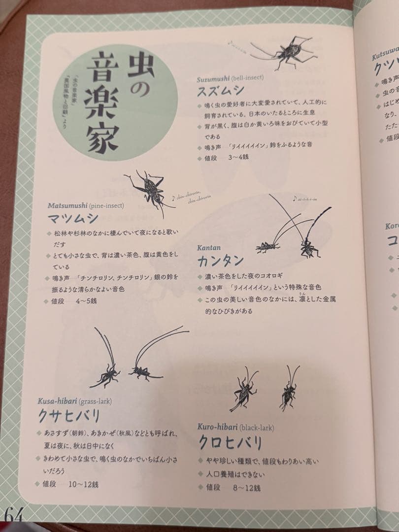 渋*７様 『虫の詩 かそけきものの声音を愛す』小泉八雲