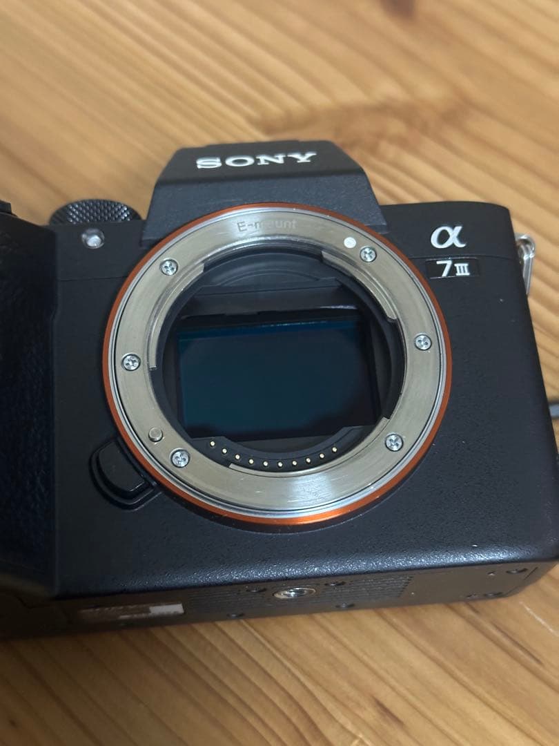 Sony α7Ⅲ