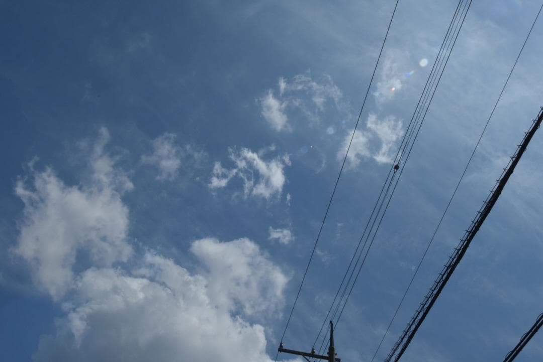 レンズ(ズーム) Nikon AF Nikkor 20-35mm F2.8D