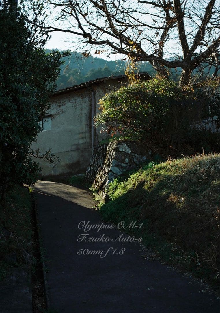 完動品＊美品＊初期保証★OLYMPUS OM-1★リザード本革外装★作例多数！