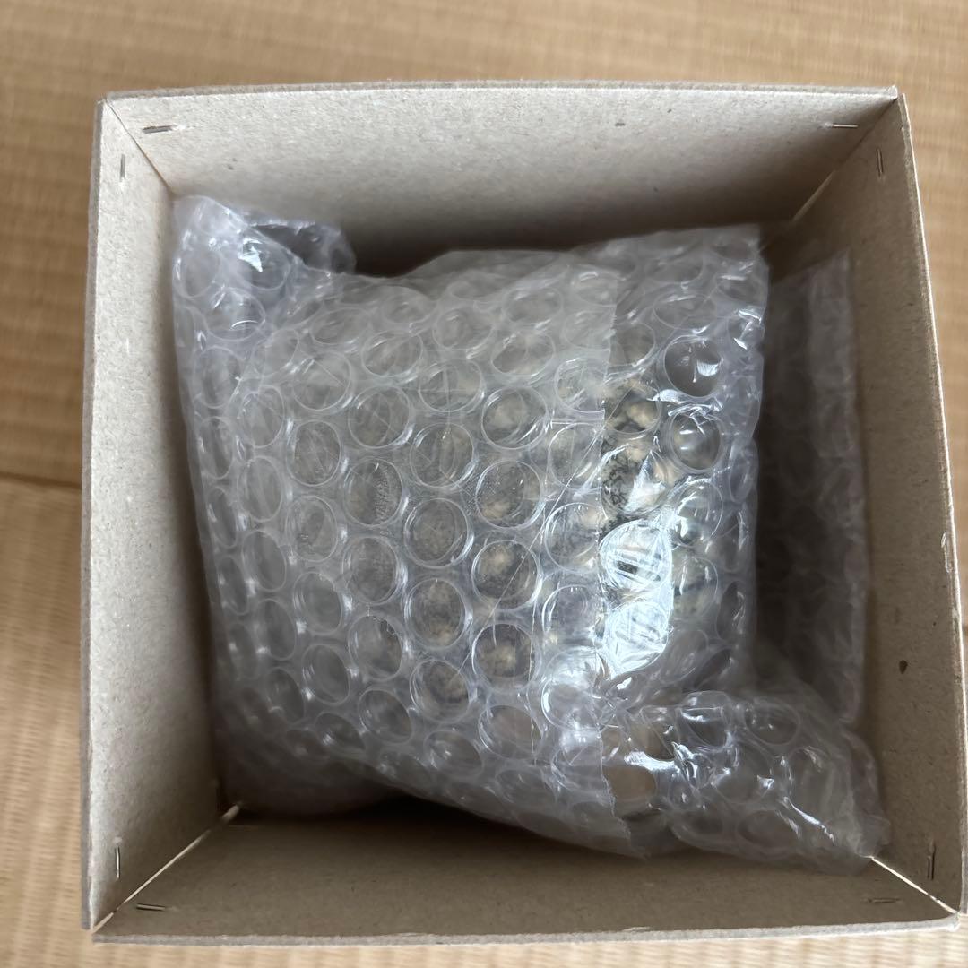 【新品未使用】リサラーソン　ハリー　2015年　600体限定　グレー