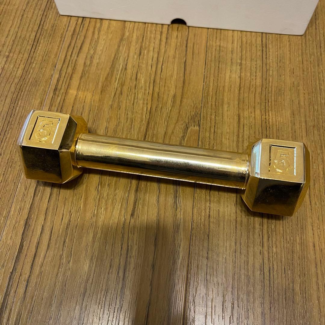 超希少！シュプリーム Supreme Plated Dumbbell ダンベル