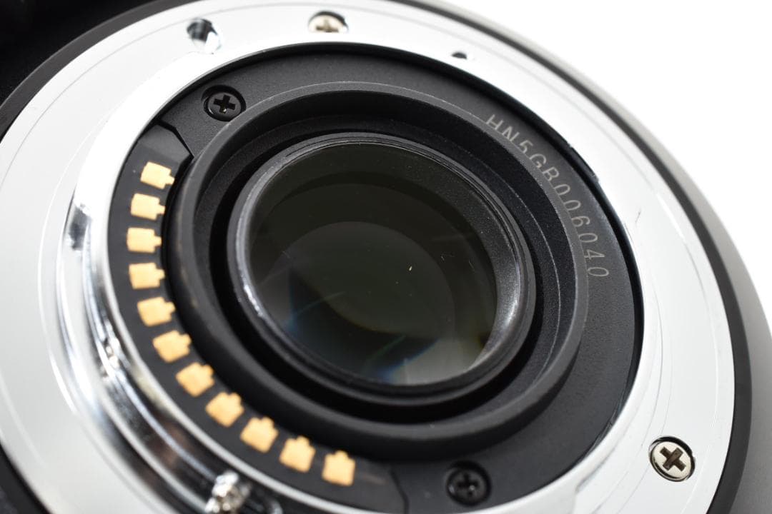 パナソニック LUMIX G VARIO 14-140