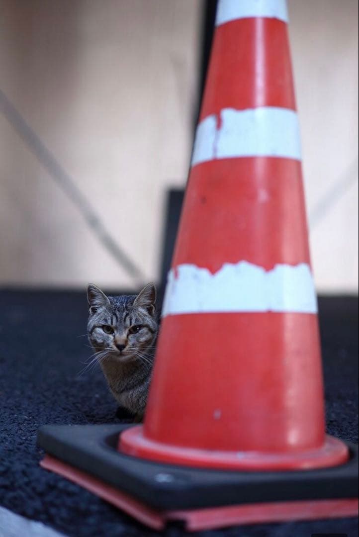 CANON EOSRシリーズ対応！ミラーレスカメラ用！サードパーティ製85mm