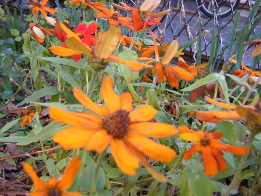 実写美⭕️【動作確認済】FUJIFILM 防水 FinePix Z33WP　緑