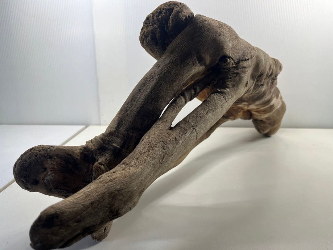 A16大型流木 アク抜き済み流木 爬虫類シェルター 登り木 インテリア 生け花