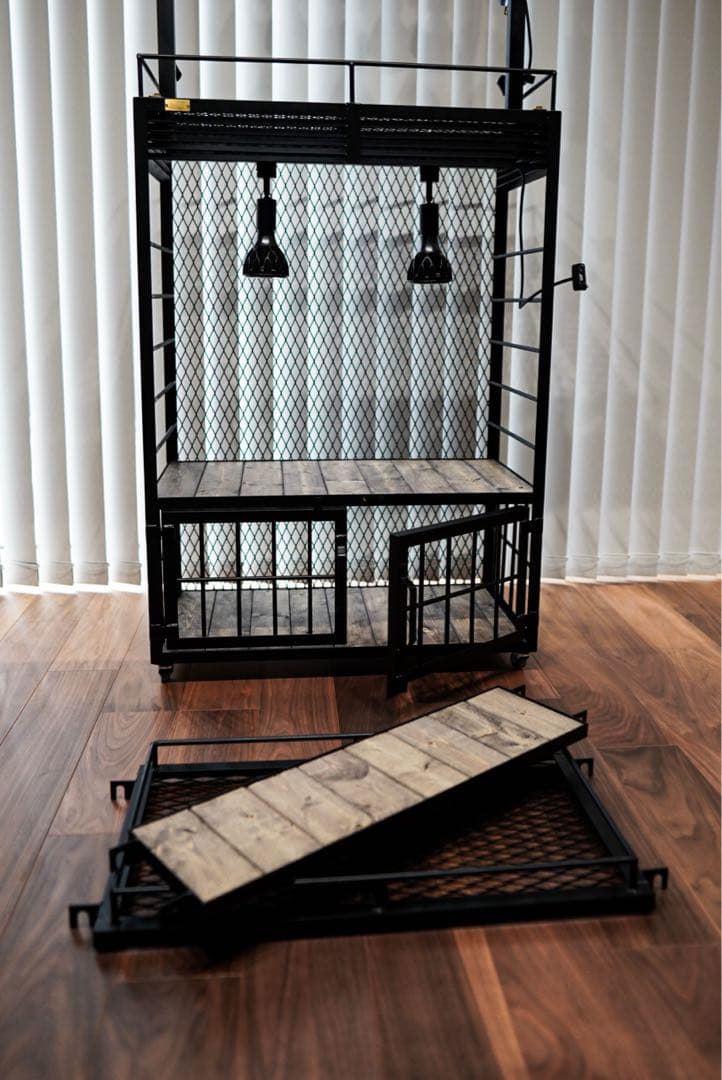 植物棚　アガベ　塊根植物