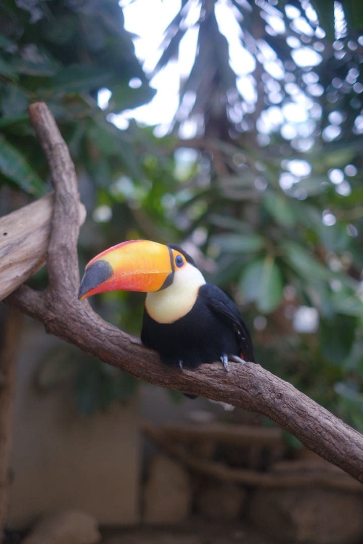 Fujifilm X-T3 シルバー　XF35mmF1.4 R レンズセット