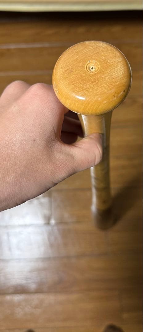 ヴィクタス　アレックスブレグマンモデル