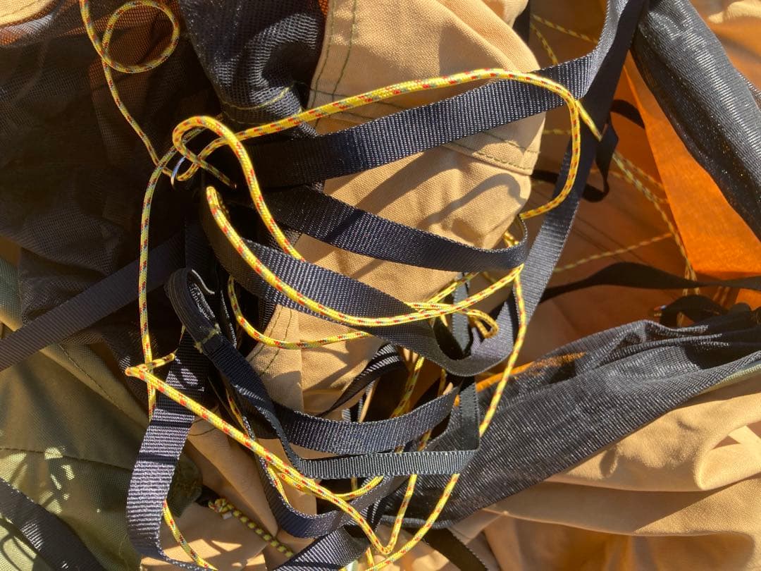 テンティピ　サファイア9cp他オプション