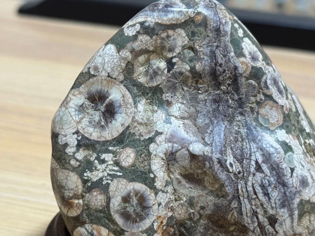 梅花石 鑑賞石 紋様石 花模様 花石 山型石 遠山石 緑石 天然石 インテリア