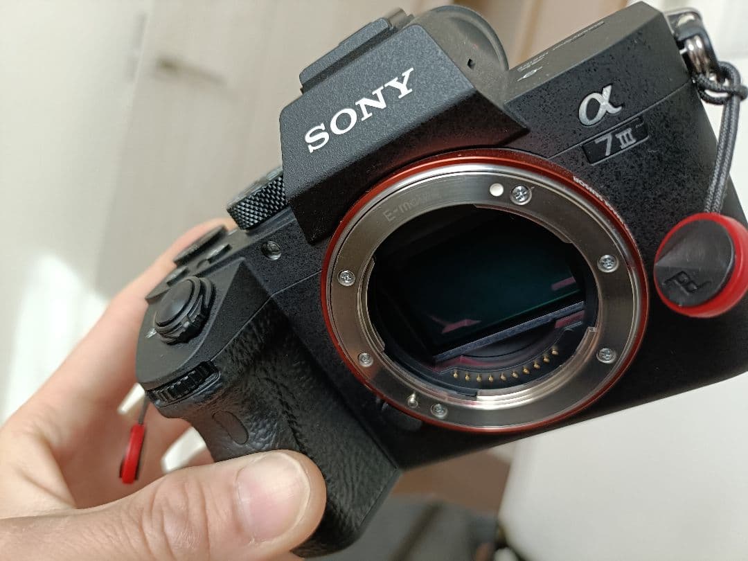 SONY α7ⅲ　シャッター回数　1982回　超美品　柿の種