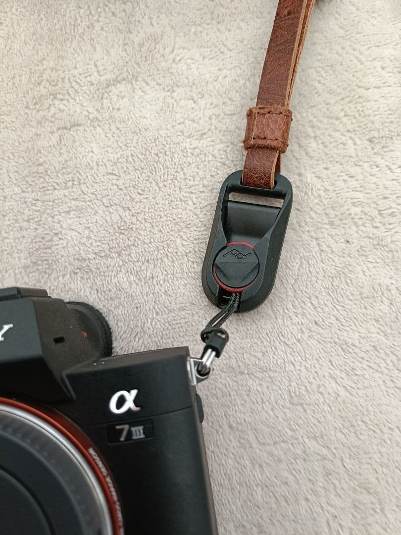 SONY α7ⅲ　シャッター回数　1982回　超美品　柿の種