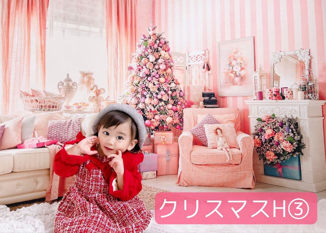 背景布+秋色チョーカー　パンパスグラス　お月見　十五夜　ペットサロン撮影用