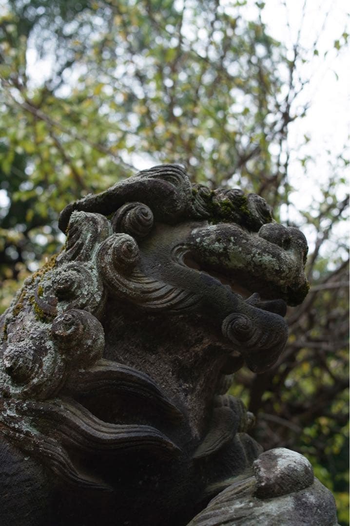 Ricoh GXR S10＋A12 50mm F2.5 MACRO＋オマケ付き