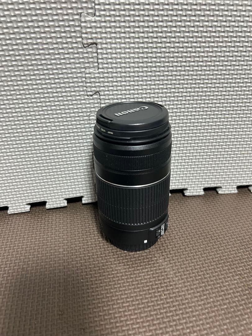 Canon EF-S 55-250mm f/4-5.6 IS Ⅱ