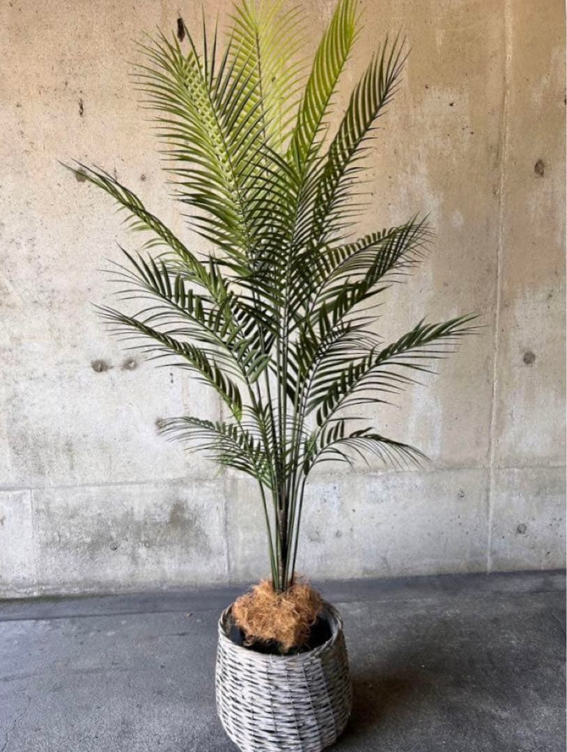 光触媒　人工観葉植物　ウォールグリーン　フェイクグリーン　アレカヤシ15060