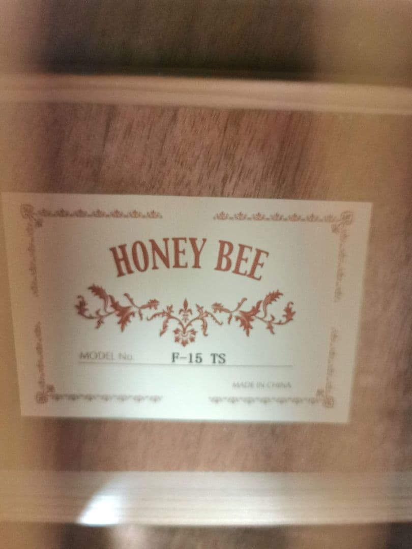HONEY BEEハニービー　ギター　F-15M/TS マットフィニッシュモデル