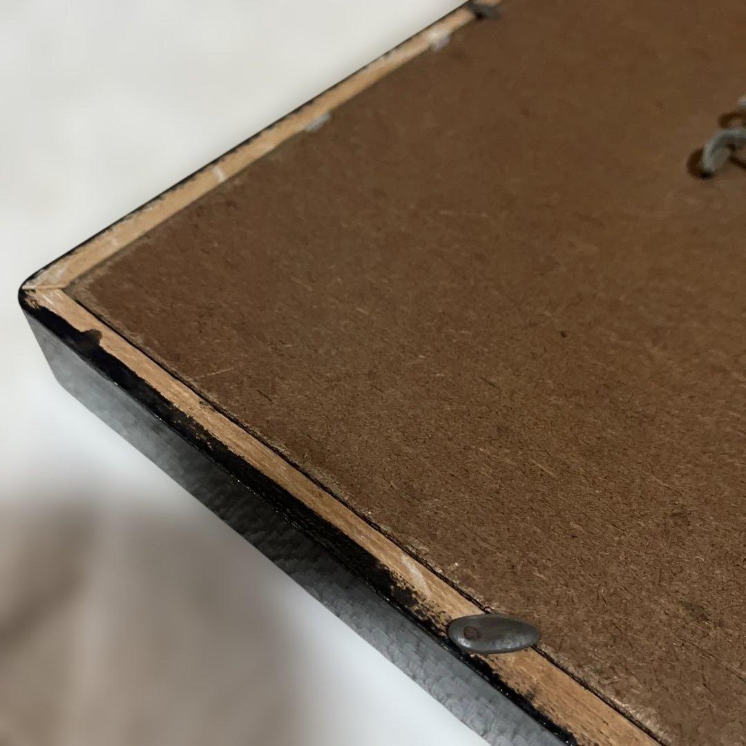 レトロ　モルフォ蝶他標本