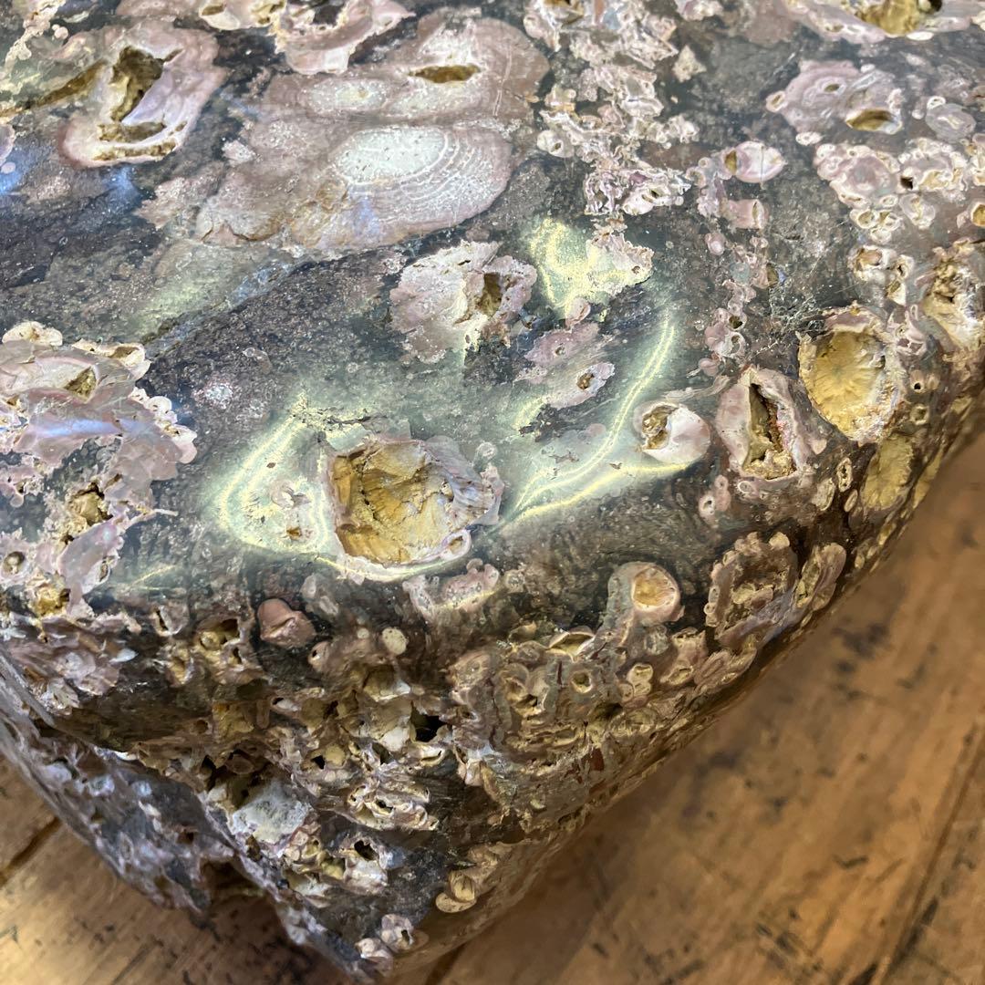 ボタン石 梅花石 鑑賞石 天然石 自然石 原石 置物 インテリア 雑貨