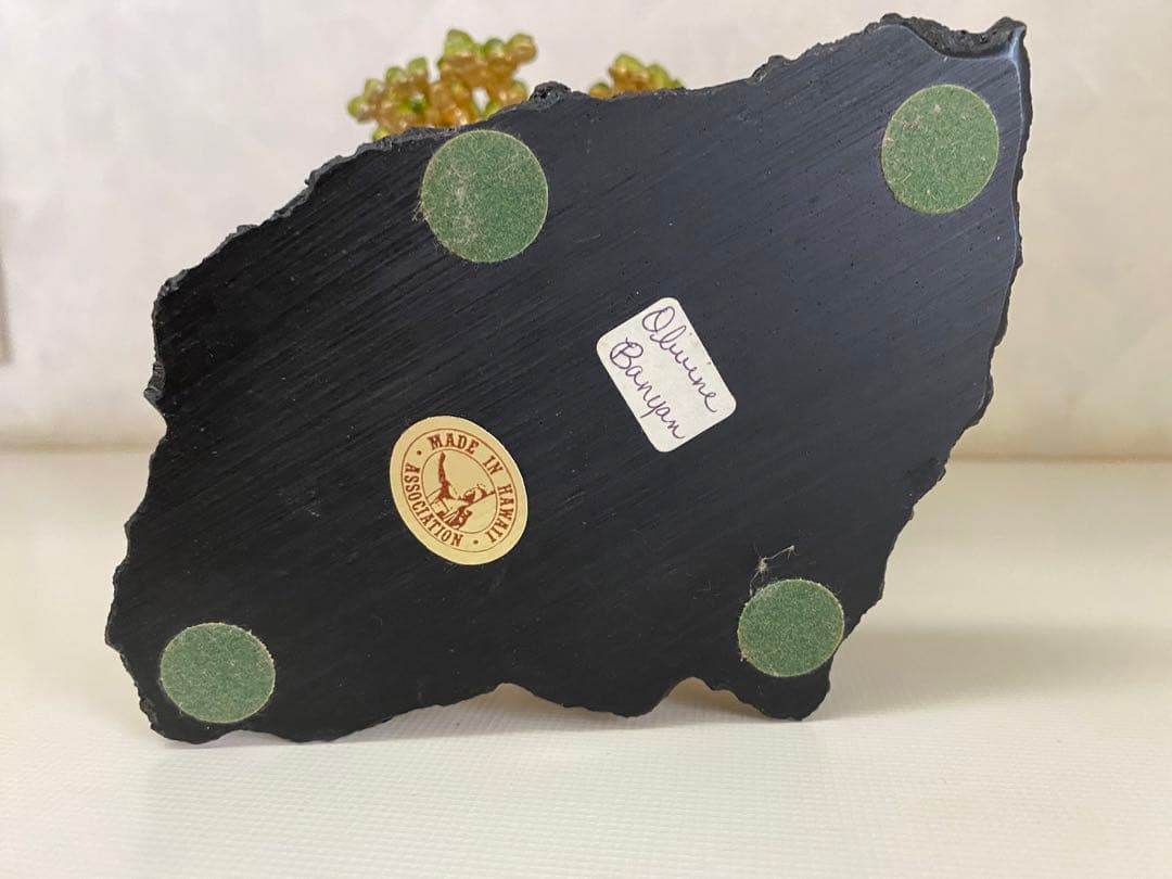 ハワイの宝石ペリドット　ハワイ島の神秘の宝石の木　ペリドットの木　モンキーポッド