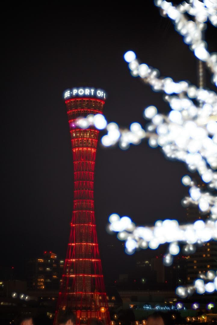 美品！イルミにバブルボケ！Trioplan 100mm F2.8 SONY用