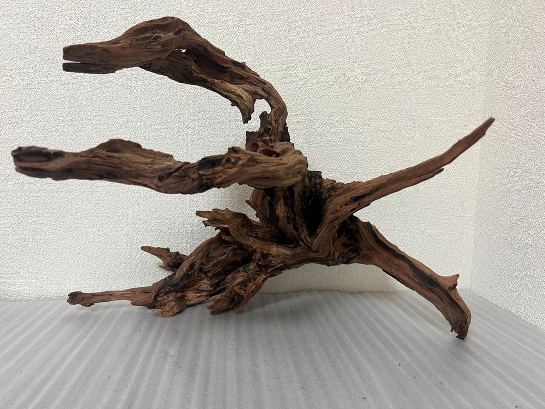 HX-079 流木　ホーンウッド　マシンガンウッド　アクアリウム　ブランチウッド