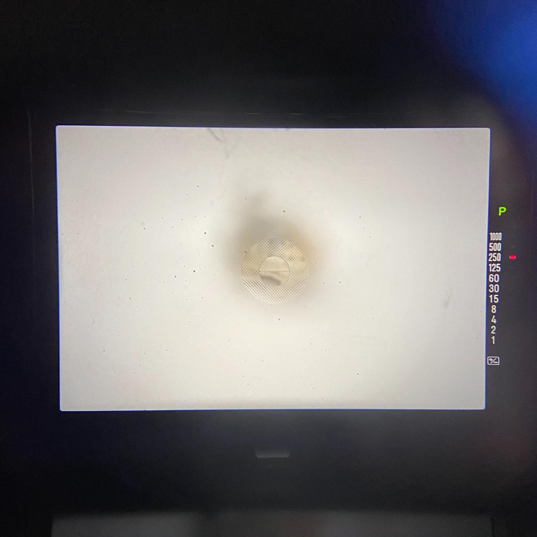 【C6446】X-700 + MC ROKKOR-PF 50mm F1.7