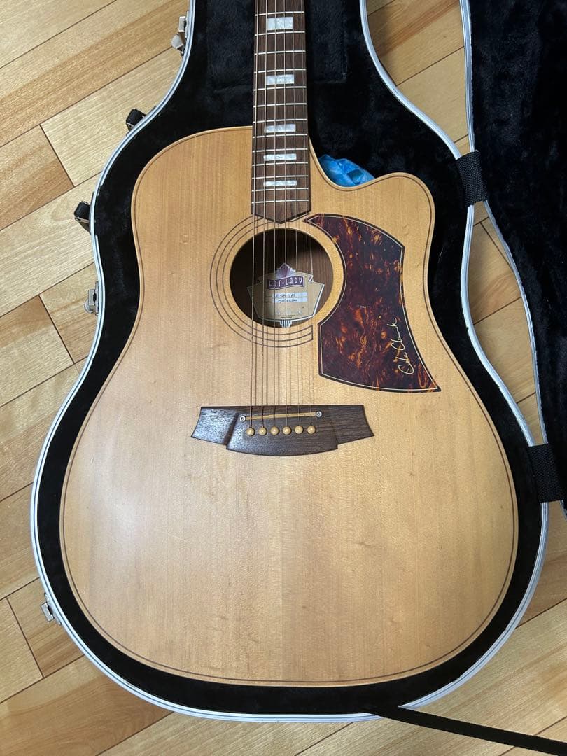 Cole Clark FL2AC3 BM 3WayPU コールクラーク