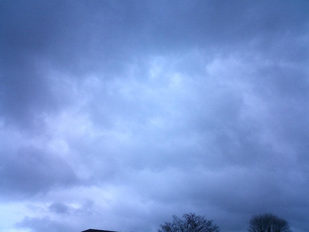 CASIO カシオ EXILIM EX-S20 コンデジ デジカメ 超軽量97g