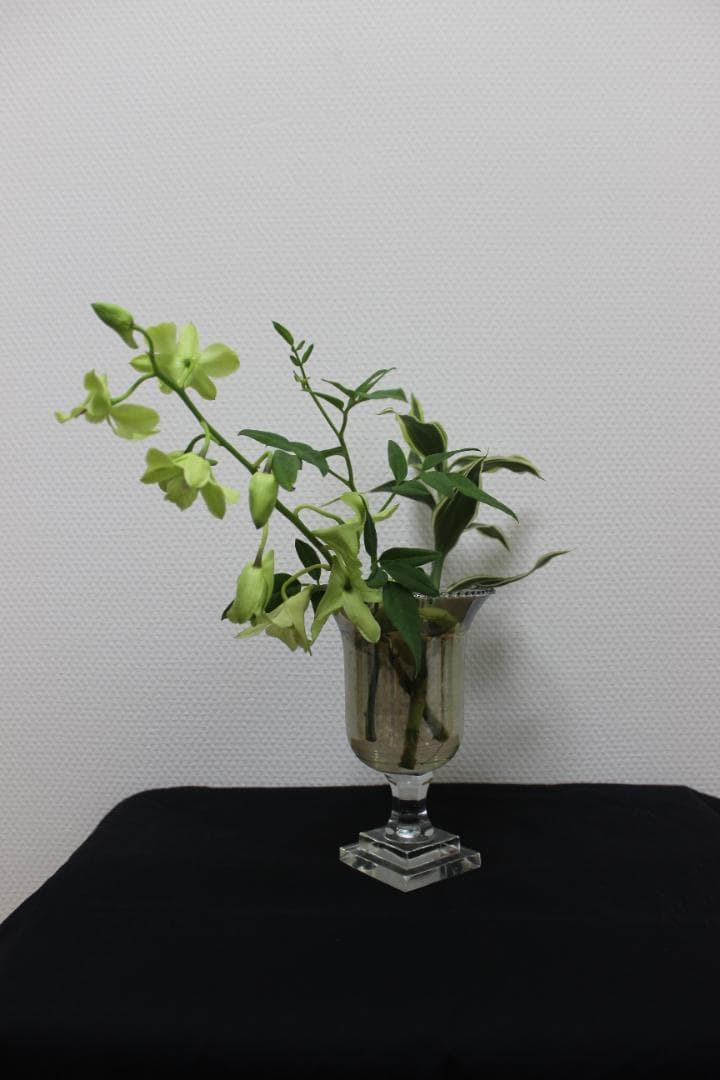 【レンズ４本セット】Canon EOS デジタル一眼レフカメラ Kiss X5