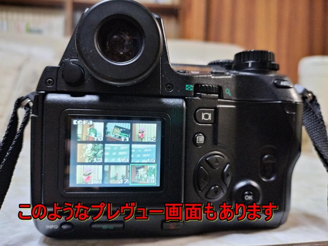 F2.0大口径OLYMPUS E20 豪華セット！伝説の明るいレンズ・動作OK