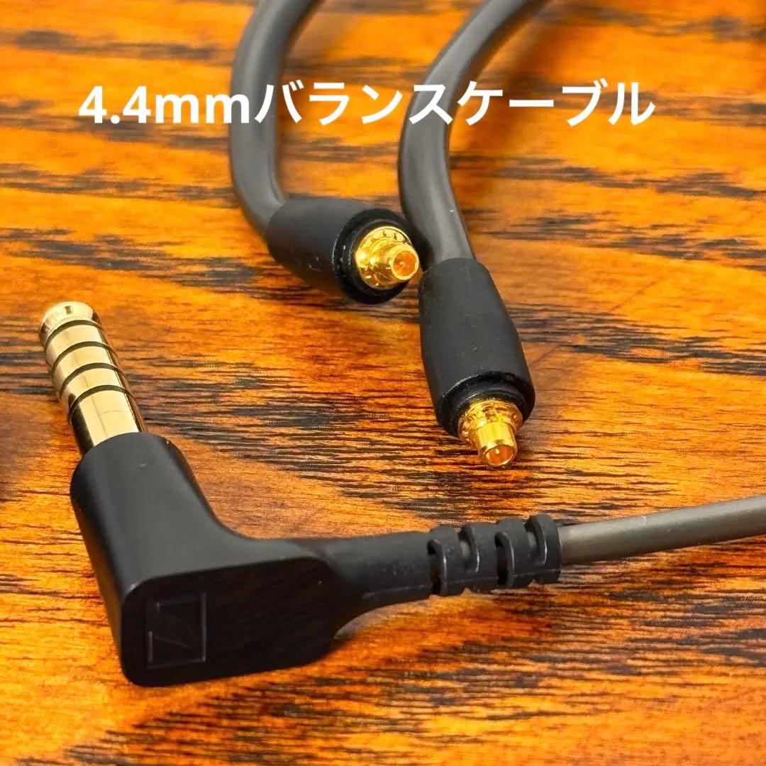 Sennheiser IE 600 ハイエンド有線イヤホン 付属品完備 2024