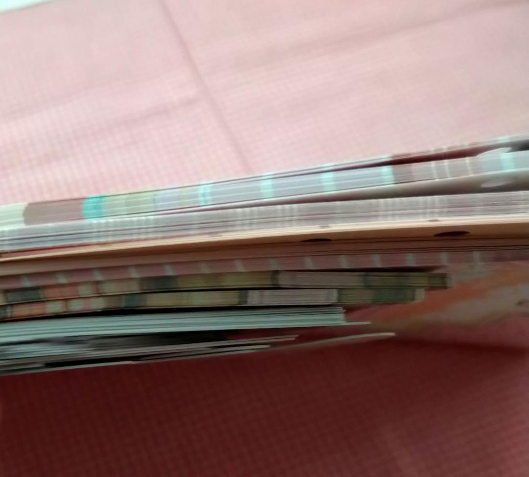 レトロアニマル　紙ものセット