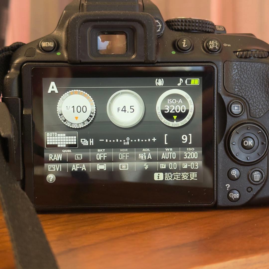 【中古】Nikon D5300 デジタル一眼レフカメラ