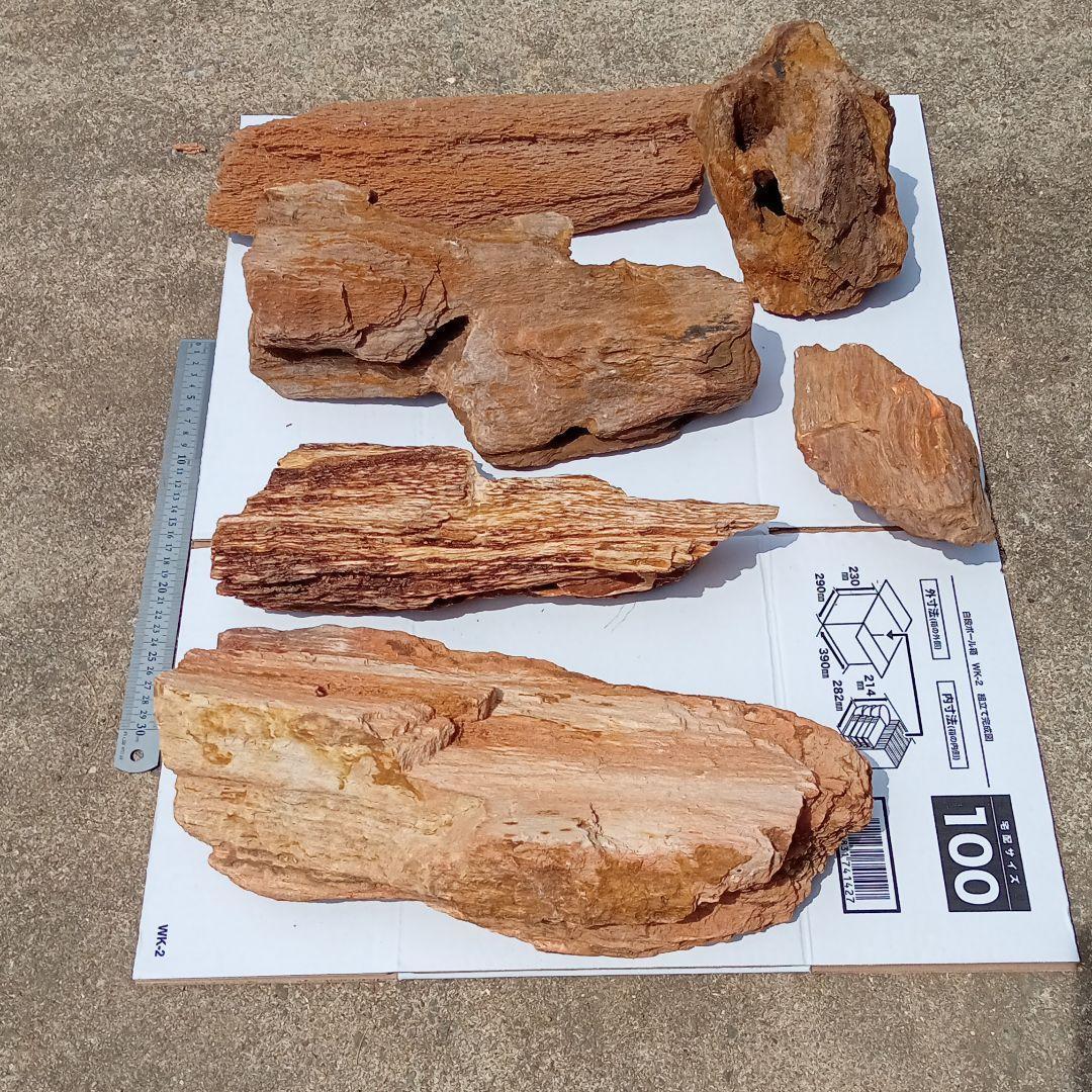 木化石01　約18ｋｇ　アクアリウム 　水槽　レイアウト　石