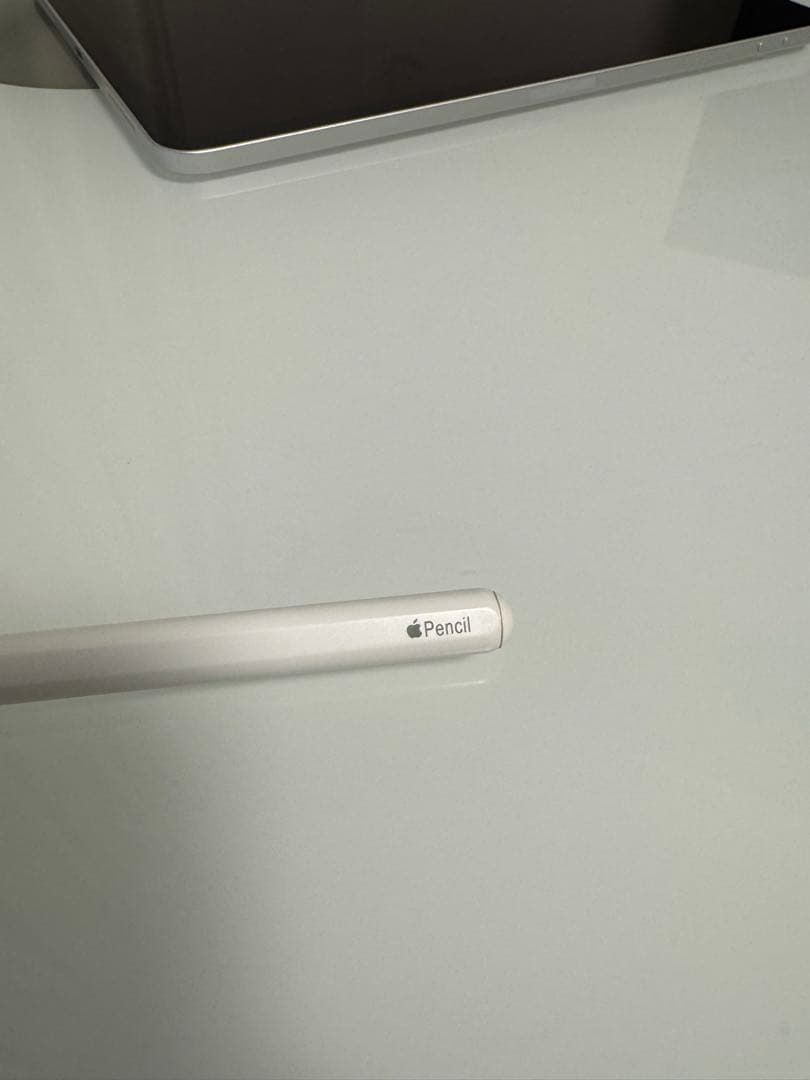 【海賊さん専用】iPad Pro 11第2世代 + Apple Pencil