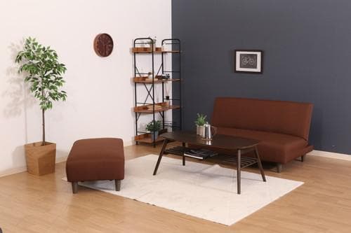 《新品・送料無料》ソファベッド　シーザリオ　ＢＲ